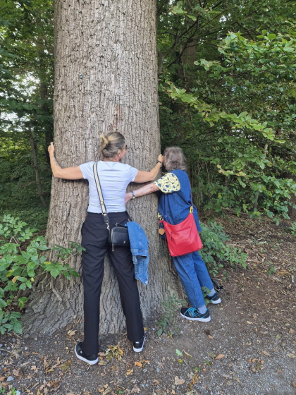 Ff352680-0a54-4dc6-a806-639fe90f4fb3